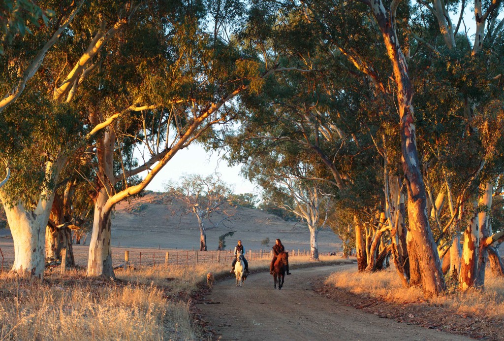 Share Your Love for Everything Country with Country Dating Australia