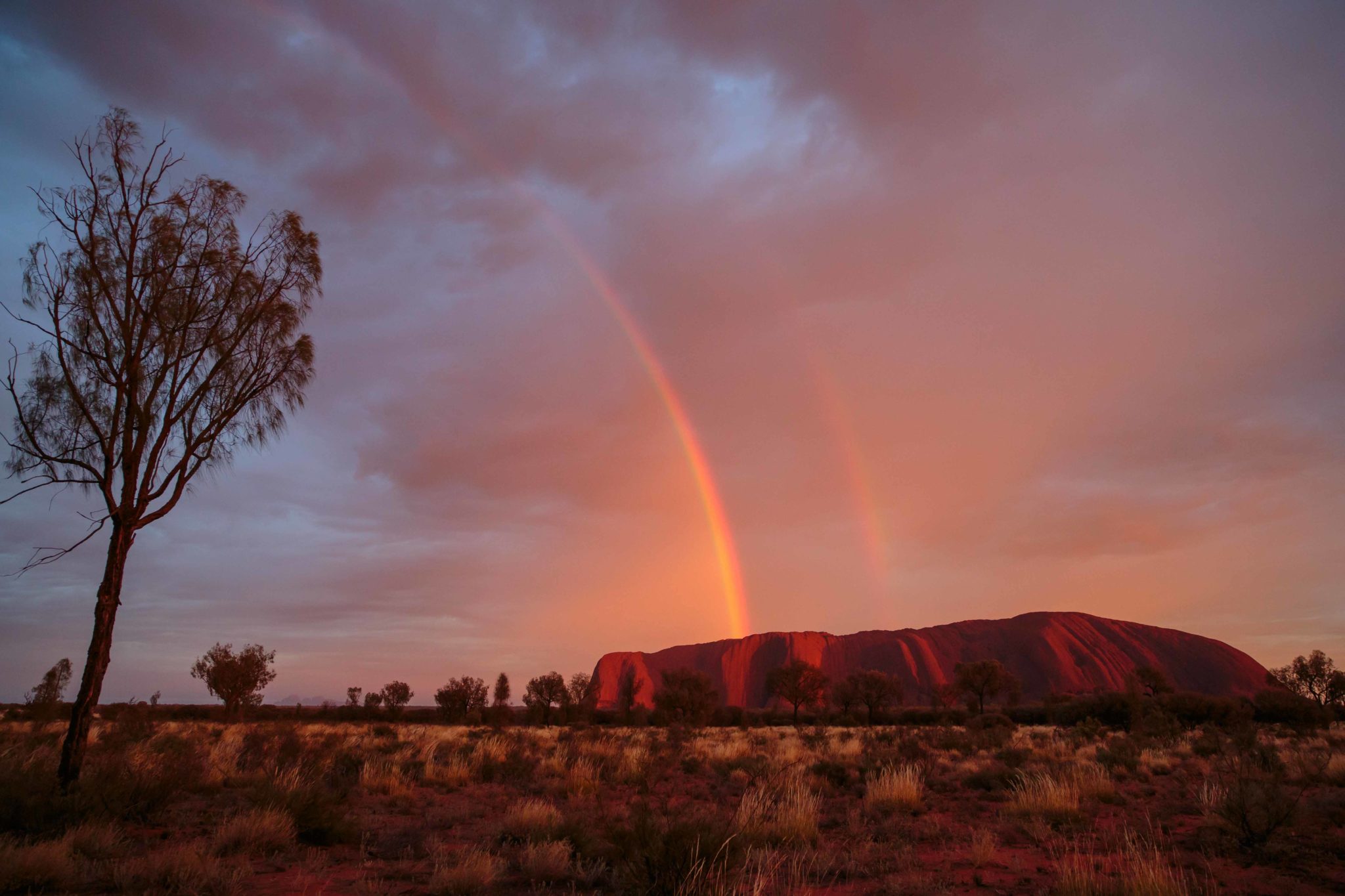 A double rainbow over Uluru - Ayres Rock - seen at sunrise