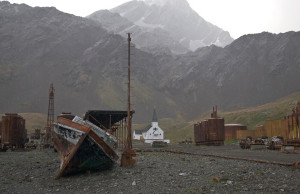 Ruins of old whaling station and church, South Georgia Island