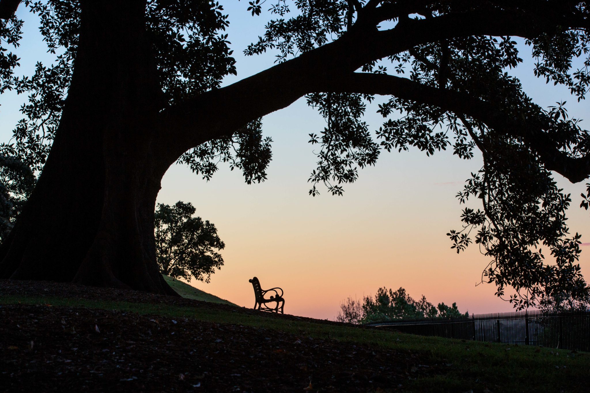 Solitude elegant park bench on Sydney Observatory Hill