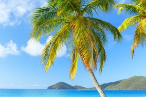 A Beach on Lambert Bay Tortola Lesser Antilles British Virgin Islands BVI