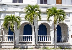 Palms and Victorian tropical architecture Road Town BVI
