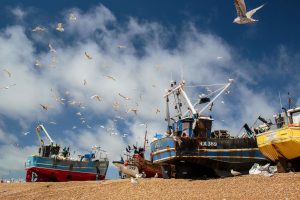 English seaside: Gulls swirl around the fishing boats at Hastings, on the southern English coast Hastings has the largest and one of the last of Enland's shore-based fishing fleets