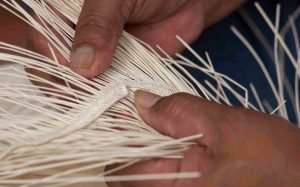 A snugly woven brim is essential for a fine Montecristi panama hat. Everything is done by hand.