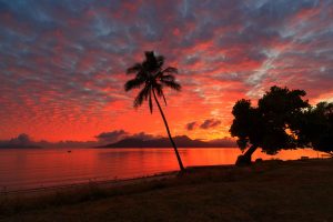 Coca-Cola Project Catalyst - an initiative to reduce the impact of agricultural run off on Australia's World Heritage Great Barrier Reef