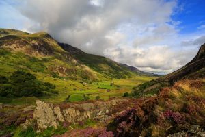 Heather clad landscape in the glacial valley of Nant Ffrancon