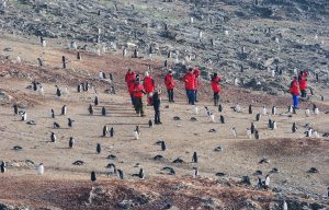 Tourism in Antarctica Tourists and penguins in Antarctica