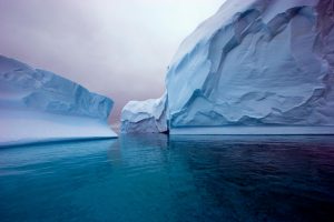 Antarctic Peninsula: Sculpted icebergs near Petermann Island Antarctica