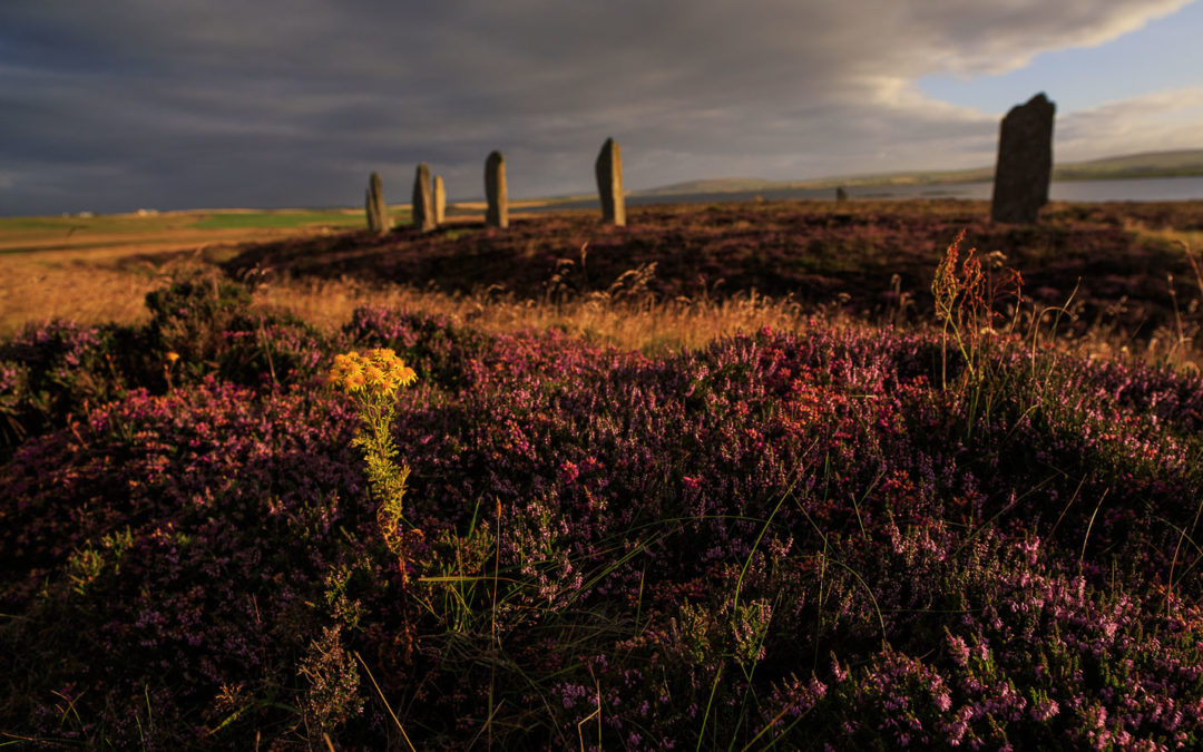 Before Stonehenge: The Ness of Brodgar