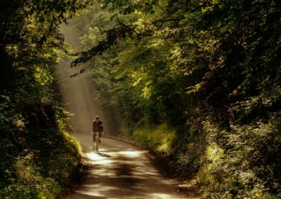 Bicycles in the landscape - a cyclist pedals along a shady country lane with shafts on sunshine coming down through the forest canopy