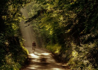Bicycles in the landscape - a cyclist pedals along a shady country lane with shafts on sunshine coming down through the forest canopy
