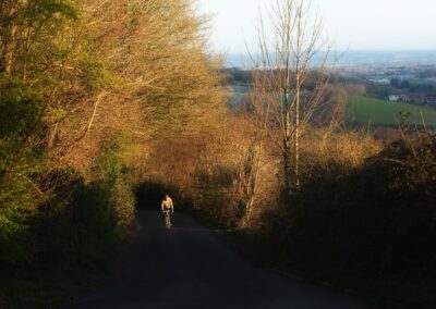 Cyclist emerging from shade on pretty country lane