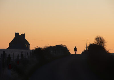 Cyclist pedalling up hill by farmhouse at dawn
